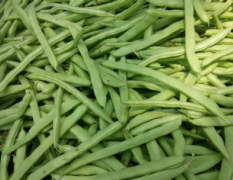沈阳优质芸豆价格低三元一斤量大