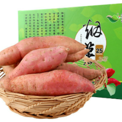 农情农场纯沙地自己种植纯原生态烟薯系列