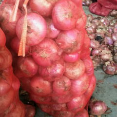 本公司大量出售金乡大蒜蒜薹洋葱