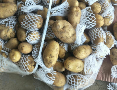 莱西库存土豆，大量出售