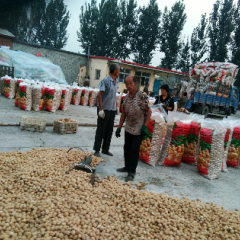 脱皮核桃唐山薄皮，新疆33，通货大货