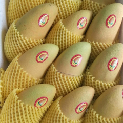 三亚市金煌芒果，有着漂亮的外观