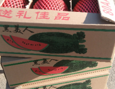 常年批发西瓜，现在刚到越南黑美人西瓜