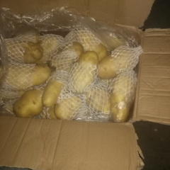 冷库储存土豆出售，品种荷兰十五