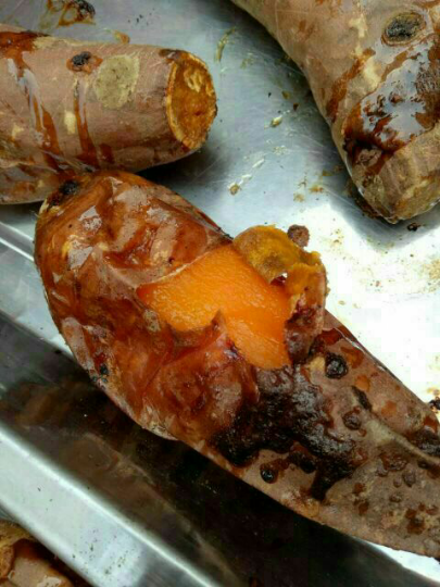 2017年09月16日广阳区红薯价格