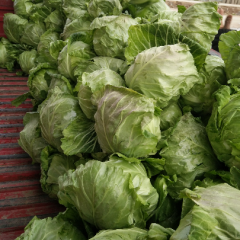 蔬菜之乡，绿色环保，货源丰富