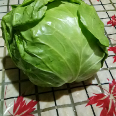 禹城大面积甘蓝上市了，中甘21质量好