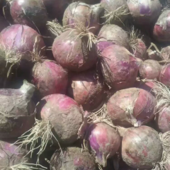 河北石家庄藁城区里庄