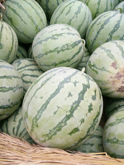 金花西瓜质量好价格便宜了