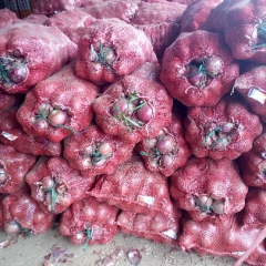 红皮洋葱个形好，产品亮，价格宜