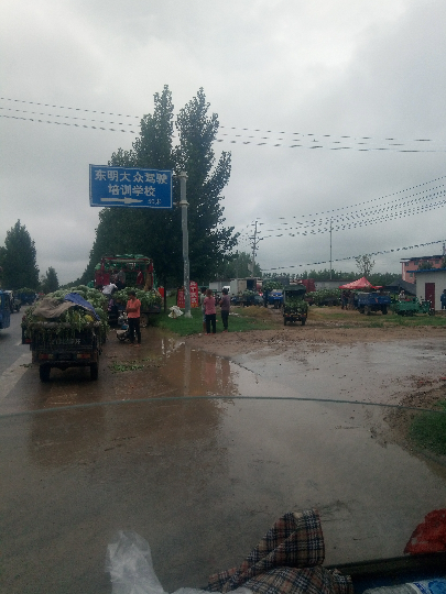 冠龙价格