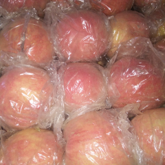 万荣县毛桃苹果基地