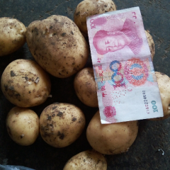 全国的客商你们好，我处土豆上市了