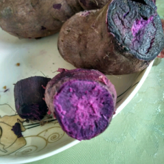 从云南引进品种为紫罗兰的紫薯30吨