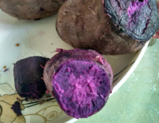 从云南引进品种为紫罗兰的紫薯30吨