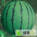辽宁新民梁山众人货栈代收西瓜、甜瓜