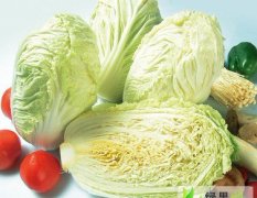 12月6日渭南，滕州，泗水，徐州大白菜价格行情
