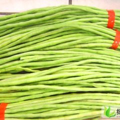 河南南乐福堪乡贾振江：有长豆角、黄瓜、冬瓜