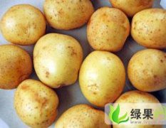 合肥六月份有十万斤左右小土豆