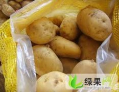 百亩自产土豆待售（量大从优）1385366455