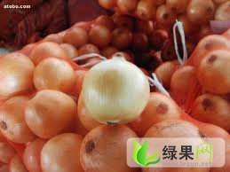 所谓洋葱尽数咱家 平顶山老魏