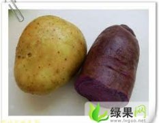 辽宁凌海超大土豆 荷兰种薯，荷兰七