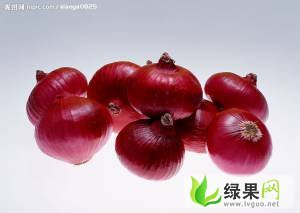 河南安阳大量紫星洋葱近期上市