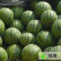 优质大棚西瓜冠军，京欣、大红瓤