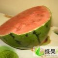 京欣西瓜 100万斤 大量上市