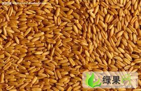 山东省聊城市小麦 我常年代办