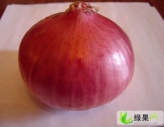 滨州惠民地区优质圆葱 品种：美国红