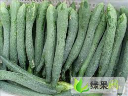 河南内黄露地（津优一号，津绿11）黄瓜