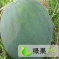 帮爸妈分担，上网寻求收购西瓜的15690205005