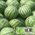 安徽砀山各类西瓜代购