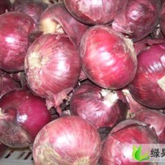 山东荷泽市单县红皮洋葱价格0.58元/斤