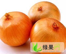 我家有15亩黄皮洋葱地球1代