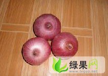 山东省潍坊市峡山区 红皮、黄皮洋葱