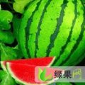 吉林省洮南市黑水西瓜基地