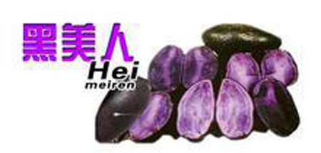 优质绿色无公害黑美人土豆商品及种子