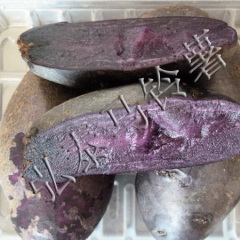 优质绿色无公害黑金刚黑土豆商品及种子