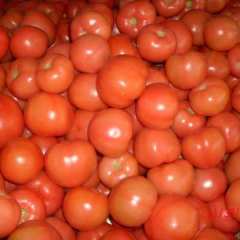 泰安粉西红柿，西红柿，西红柿