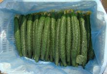 我们这里有大量黄瓜上市