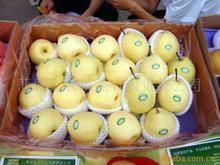 陕西蒲城“酥梨”