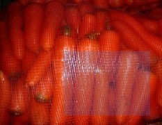 5000亩红萝卜 低价处理