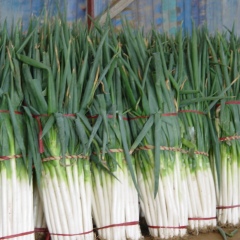 大葱，土豆，草莓，大姜，洋葱