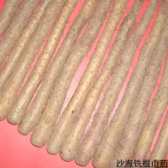大量供应铁棍山药、白山药
