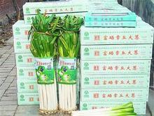 济南市11月到12月上市—韩照芳