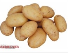 呼和浩特广爱平：克新一号土豆11月上市