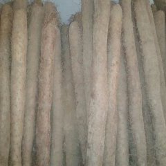 聊城市宋加栋：日本白山药11月上市