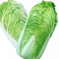 商丘青杂3号有1万多亩